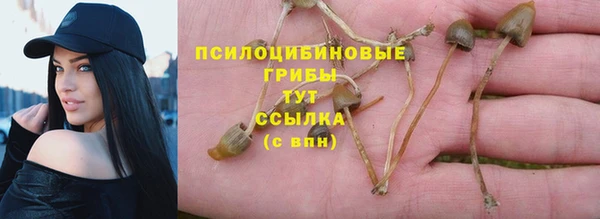 СК Алексеевка