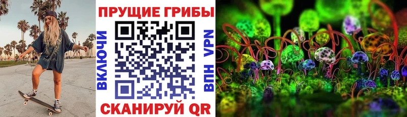 даркнет сайт  Дно  ОМГ ОМГ зеркало  Галлюциногенные грибы прущие грибы 